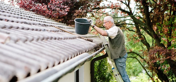  Before You Try to Repair Your Own Roof or Gutters